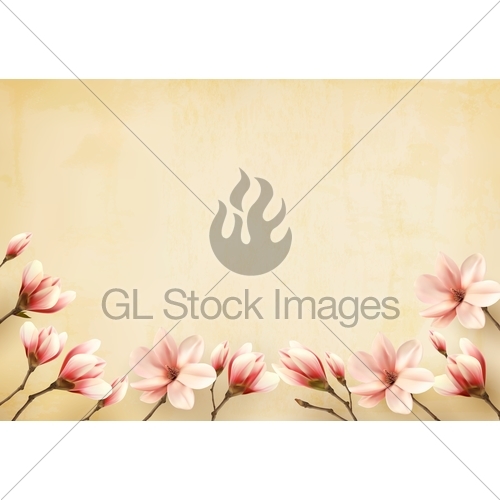 500x500 Frame Made Out Of Magnolia Flowers. Vector. Gl Stock Images