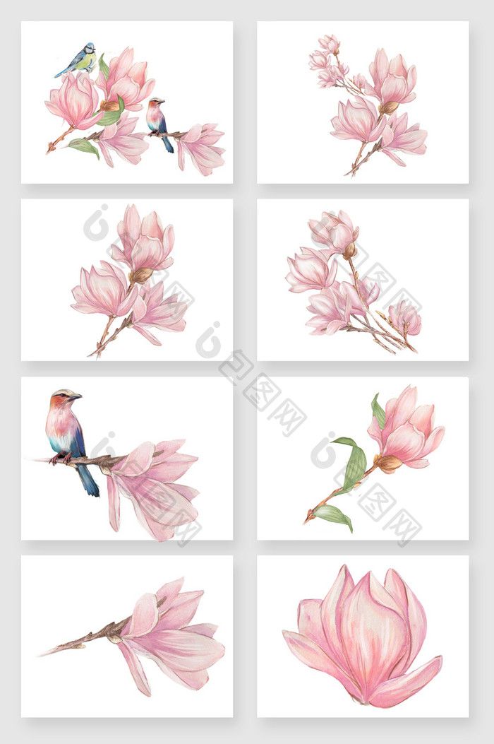 700x1053 Hand Painted Pink Beautiful Magnolia Flower Vector Material. Free