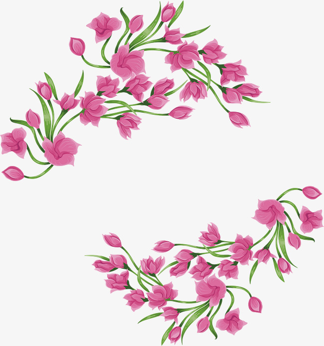 650x694 Magnolia Png, Vectors, Psd, And Clipart For Free Download Pngtree