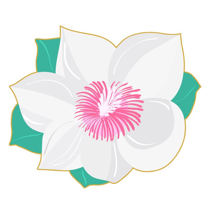 700x700 Magnolia. Vector Wall Mural We Live To Change