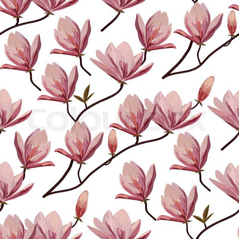 800x800 Seamless Pattern With Blossom Brunches Of Magnolia. Stock Vector
