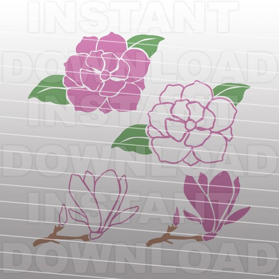 570x570 Magnolia Flower Gardening Svg File Vector Art File For Etsy