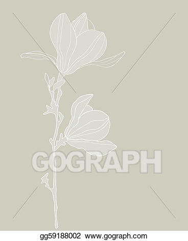 368x470 Magnolia Clipart Stylized ~ Frames ~ Illustrations ~ Hd Images