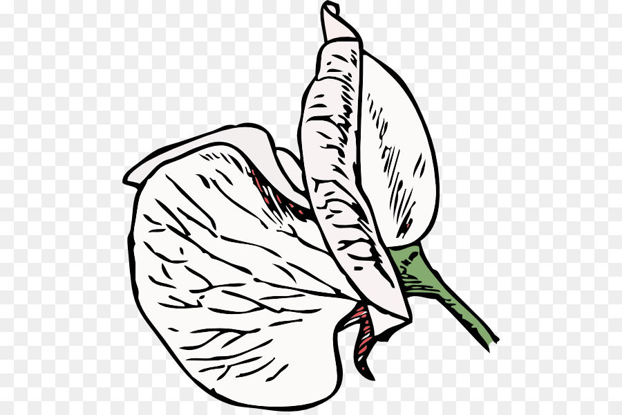 900x600 Sweet Pea Vine Clip Art