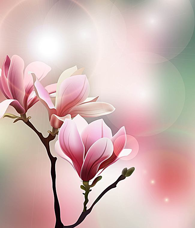 650x758 Vector Fresh Magnolia Background Art, Vector, Textured, Bright