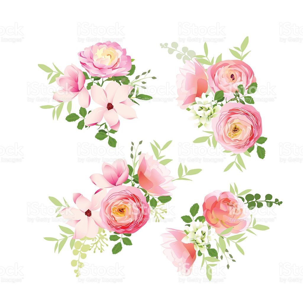 1024x1024 Wedding Bouquets Of Fresh Roses, Magnolia, Ranunculus Vector
