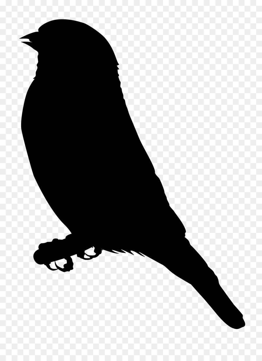 900x1240 European Goldfinch Clip Art