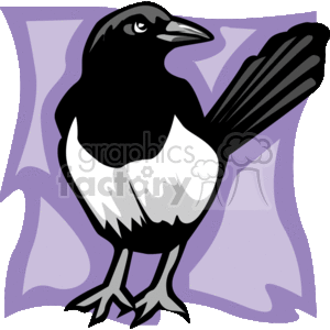 300x300 Magpie Clipart Cartoon