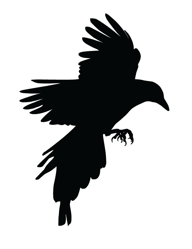 612x792 Raven Vector