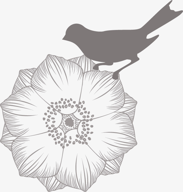 642x673 Vector Flowers And Magpie, Vector, Pattern, Decoration Png And
