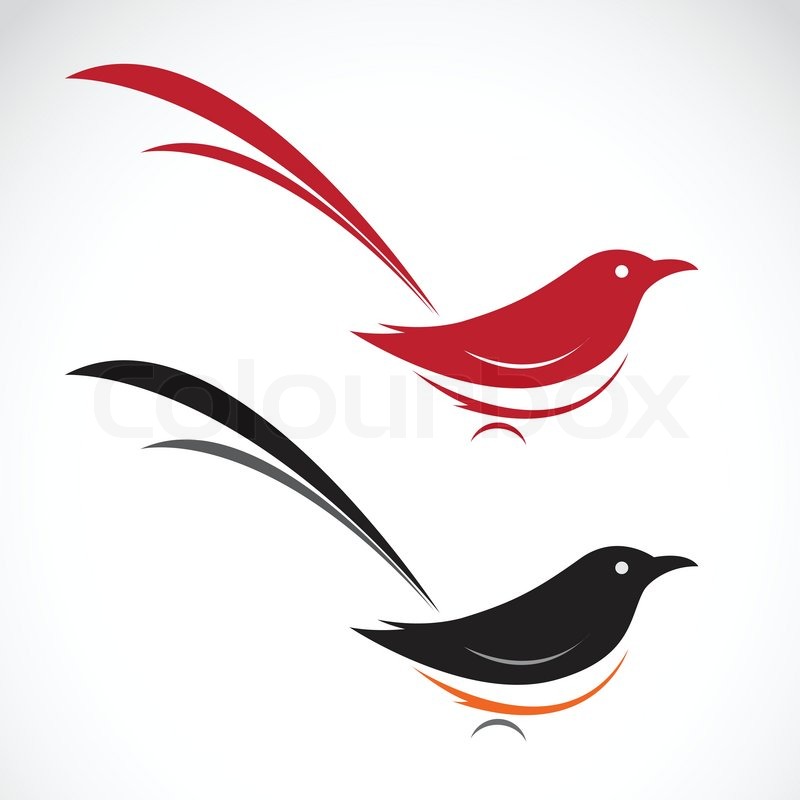 800x800 Vector Image Of An Magpie On White Background Stock Vector