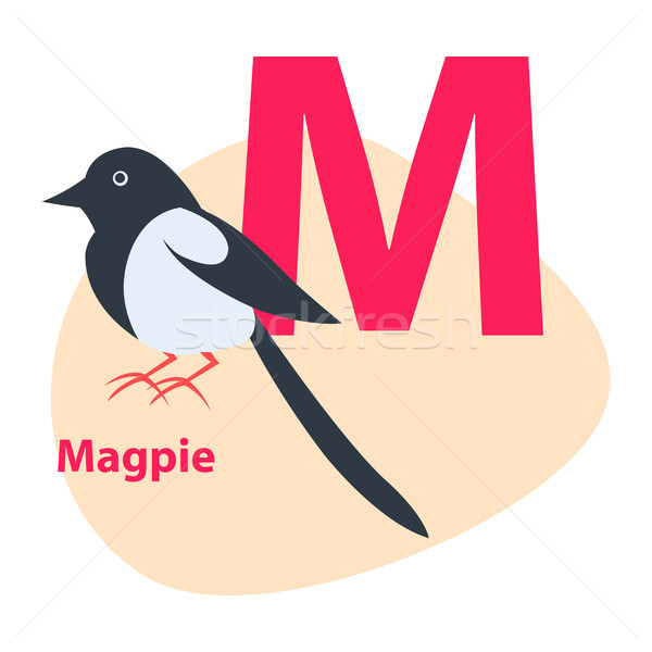 600x600 Zoo Abc Letter With Cute Magpie Cartoon Vector Vector Illustration