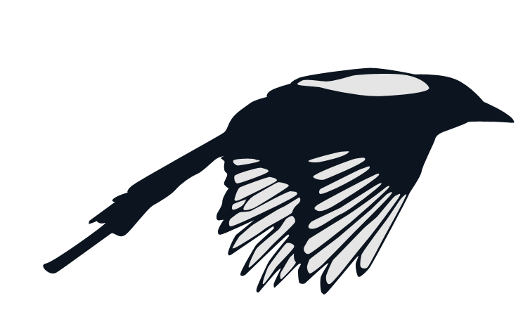 744x468 Crows Vector Grunge ~ Frames ~ Illustrations ~ Hd Images ~ Photo