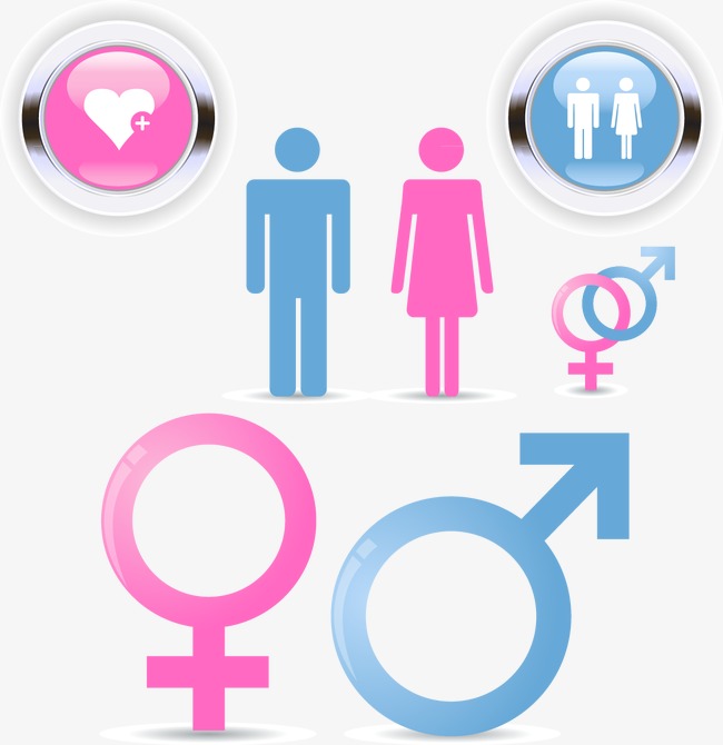 650x670 Male And Female Icon Vector Image, Vector, Male, Female Png And