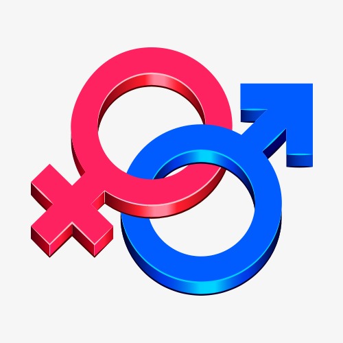 500x500 Male And Female Symbol Vector, Men And Women, Pink, Blue Png And