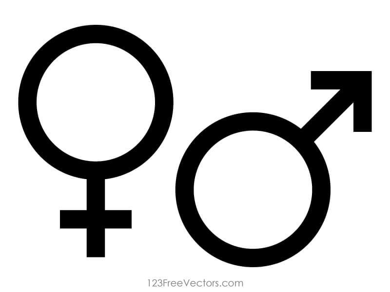 800x600 Male And Female Gender Symbols Vector 123freevectors