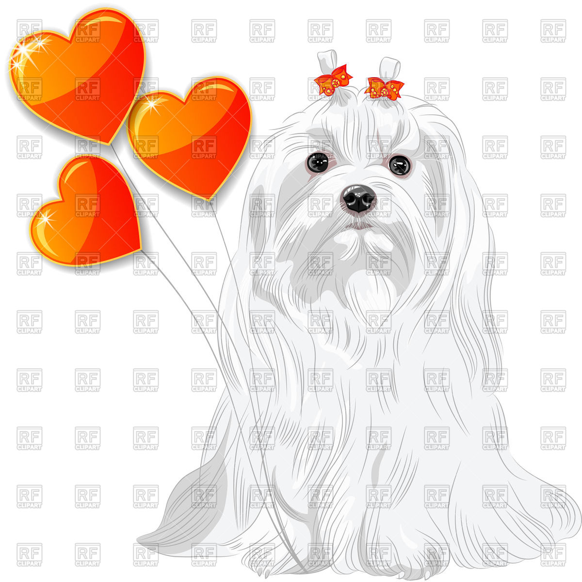 1200x1200 Dog Of Maltese Breed With Red Hearts Vector Image Vector Artwork