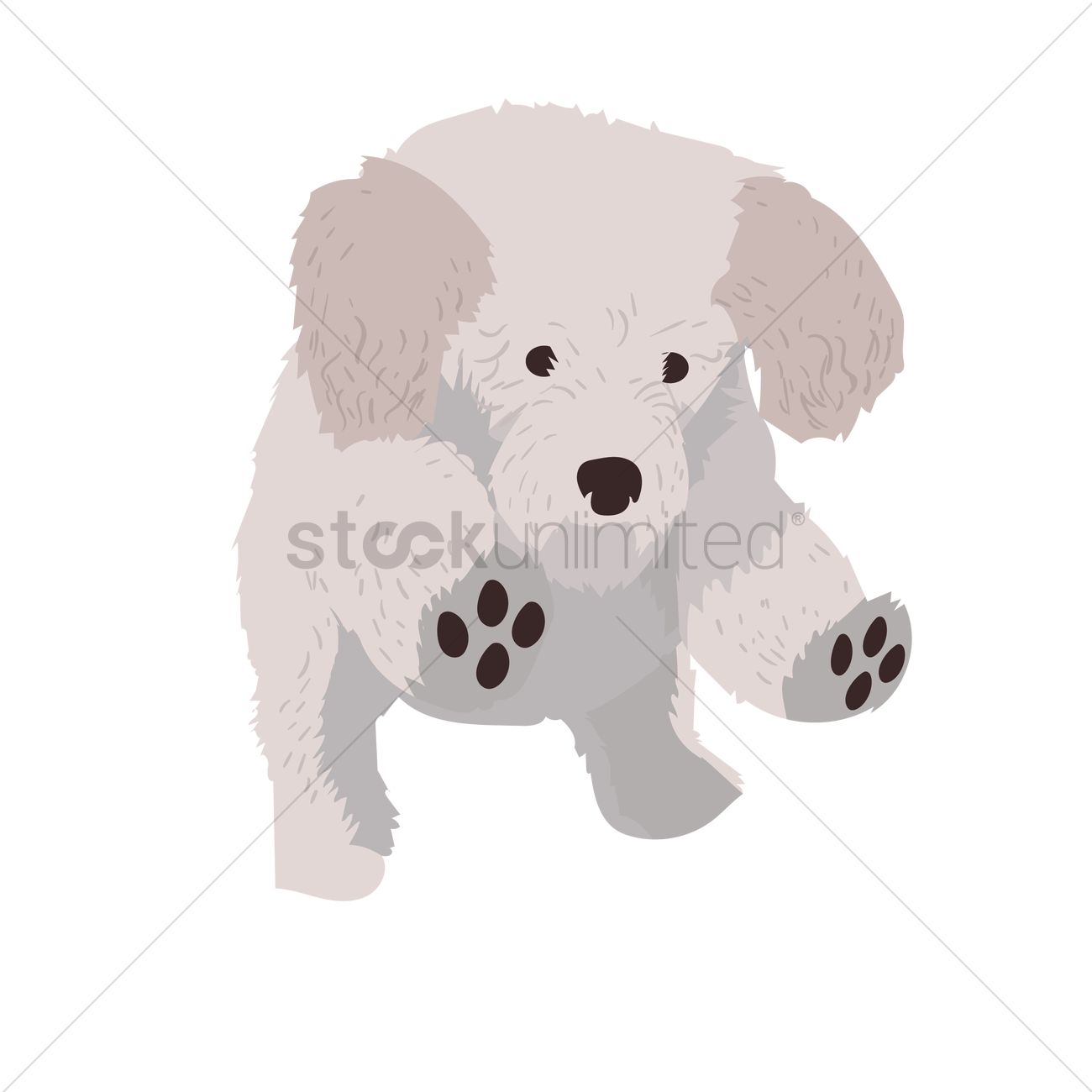 1300x1300 Free Maltese Puppy Vector Image