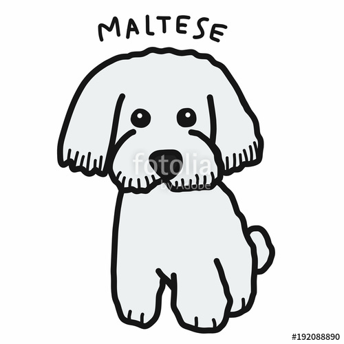 500x500 Maltese Dog Cartoon Doodle Style Stock Image And Royalty Free