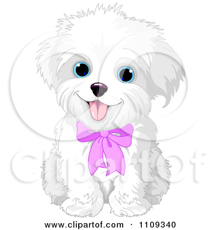 450x470 Puppy Clipart Maltese