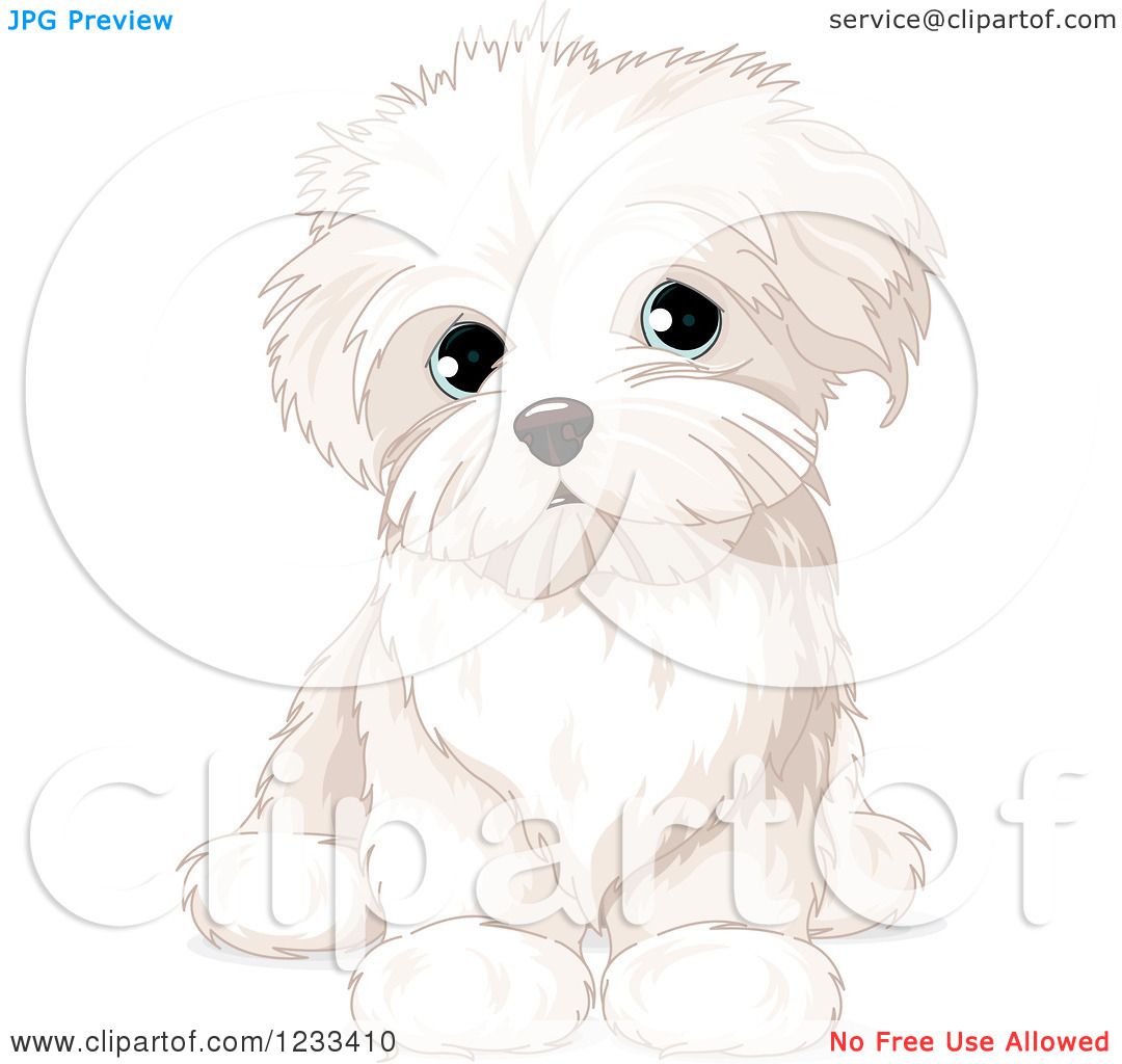 1080x1024 Clipart Of A Cute Bichon Frise Or Maltese Puppy Dog Sitting