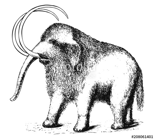 500x453 Mammoth