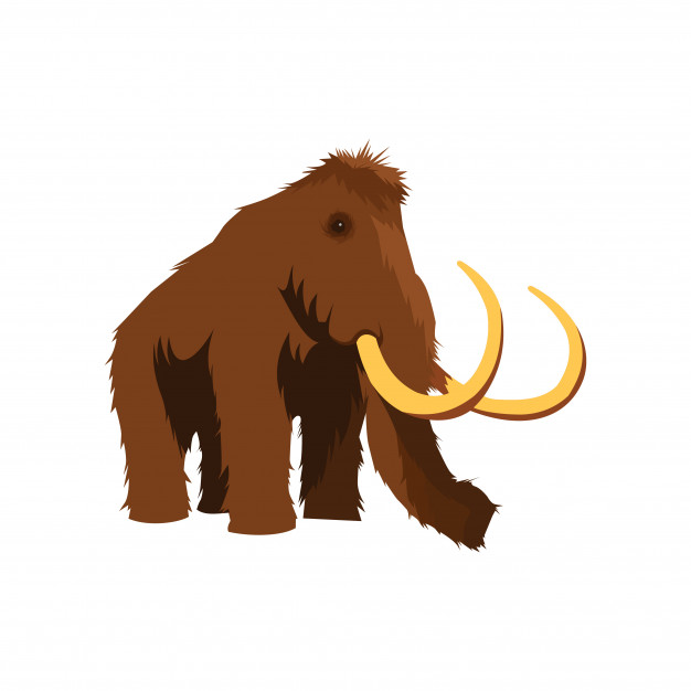 626x626 Mammoth Vector Premium Download