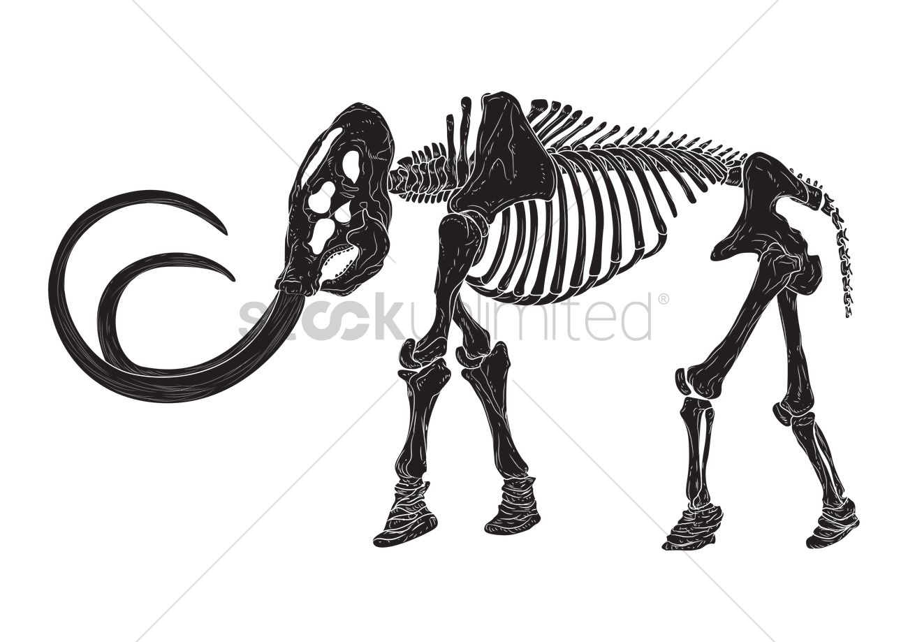 1300x919 Mammoth Vector Image