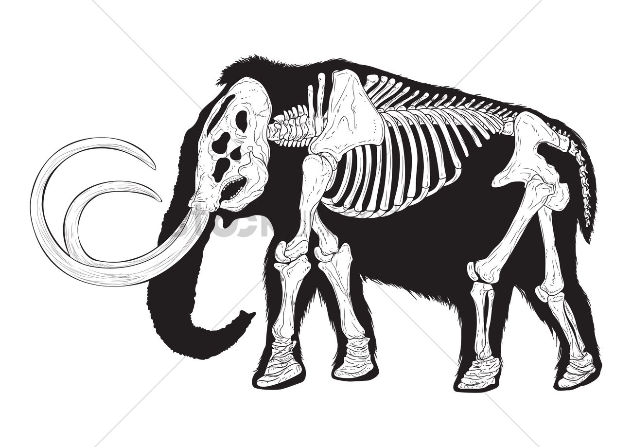 1300x919 Mammoth Vector Image