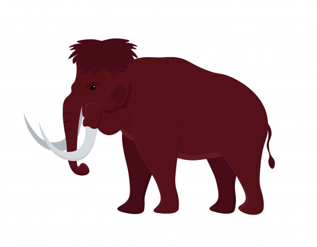 626x488 Mammoth Vectors, Photos And Psd Files Free Download