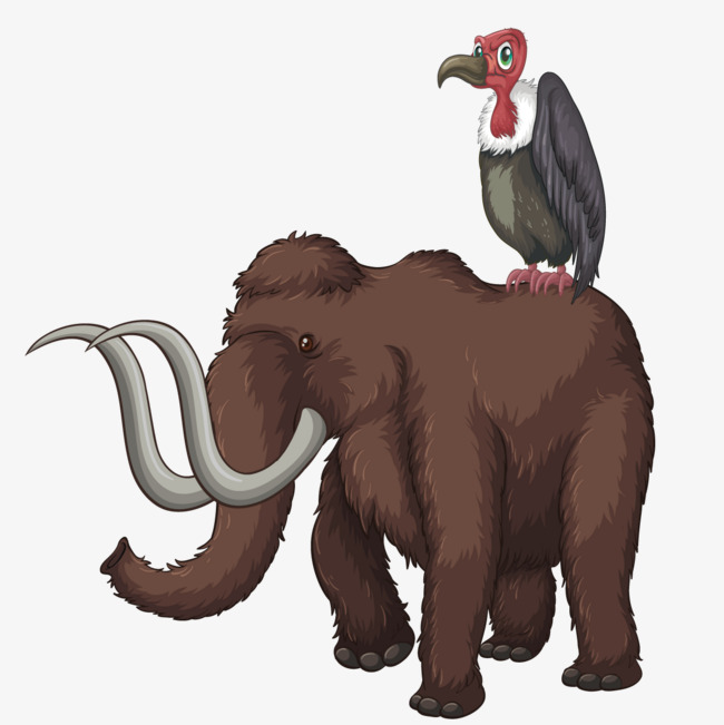 650x651 Vector Mammoth, Condor, Animal, Ice Age Png And Vector For Free