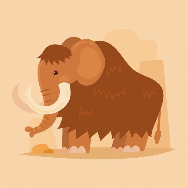 626x626 Cartoon Mammoth Vector Premium Download