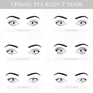 300x300 Various Types Of Woman Eyes Vector Set Gm Orangiausa