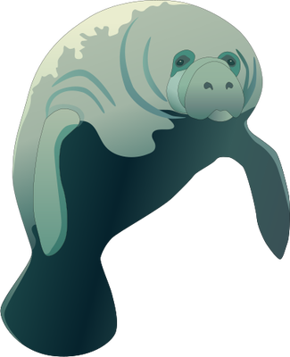 Manatee Vector