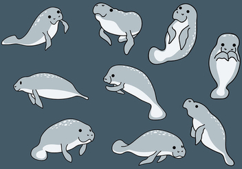 352x247 Free Cartoon Manatee Vector Free Vector Download 400899 Cannypic