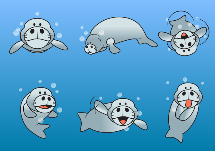 700x490 Free Manatee Vector