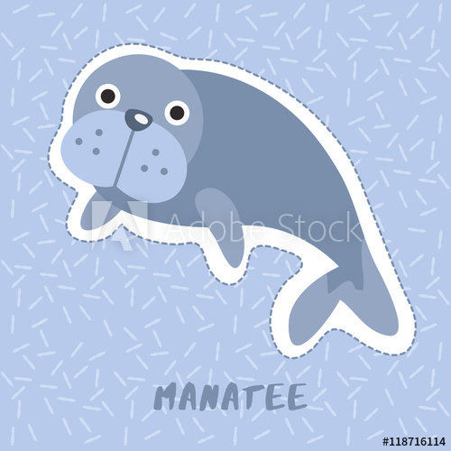 500x500 Manatee Cute Animal Set Vector Illustration