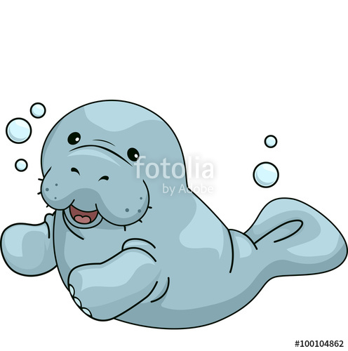 496x500 Manatee Stock Image And Royalty Free Vector Files On