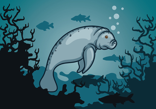 632x443 Manatee Vector Free Vector Download 403313 Cannypic