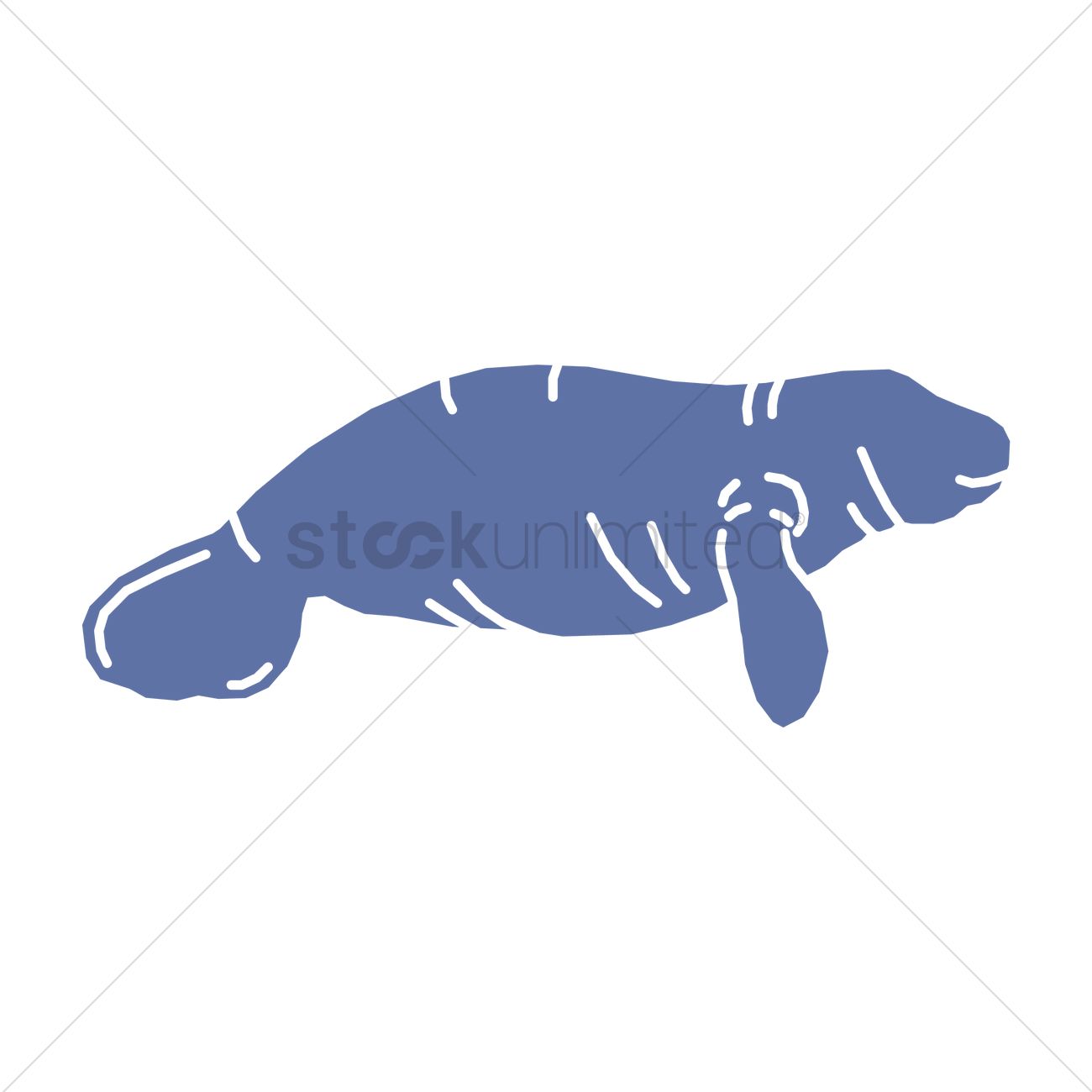 1300x1300 Manatee Vector Image