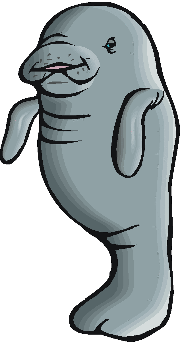 640x1200 Manatee Clipart Vector ~ Frames ~ Illustrations ~ Hd Images