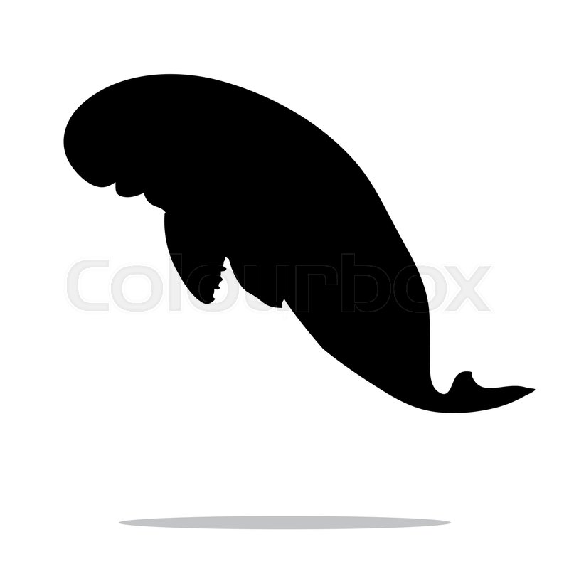 800x800 Manatee Mammal Sea Black Silhouette Animal. Vector Illustrator