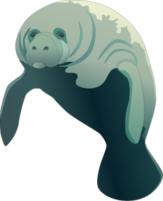 325x400 River Vector