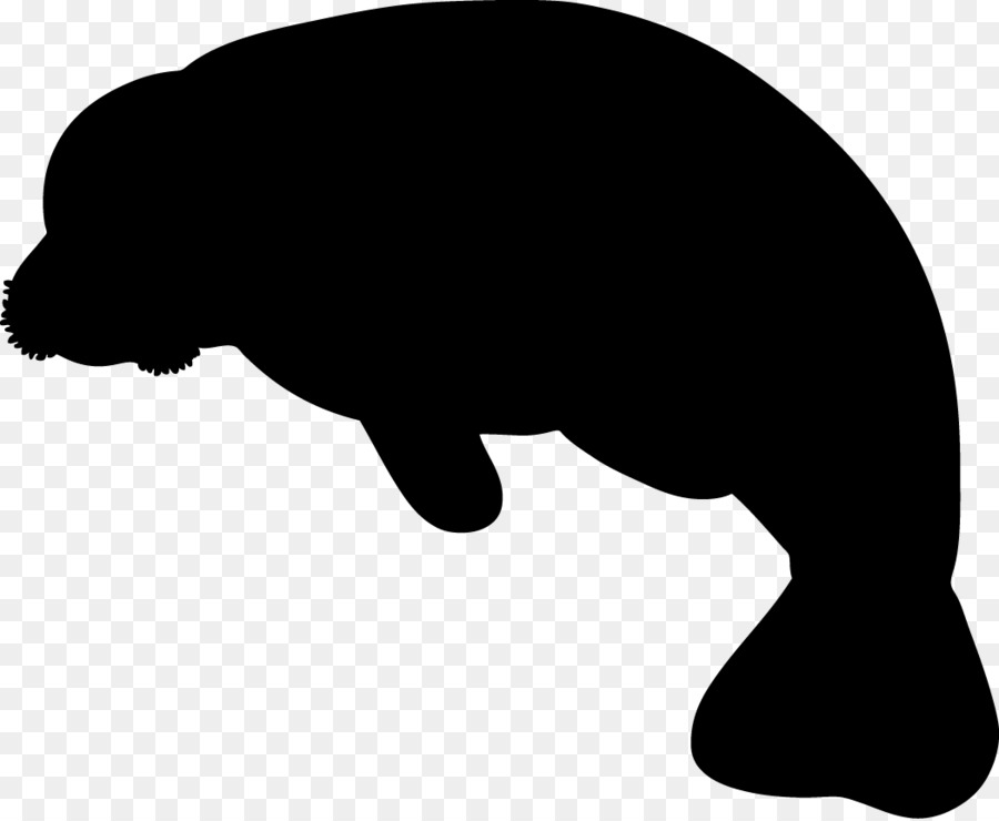 900x740 West Indian Manatee Baby Manatee Miami Manatees Clip Art