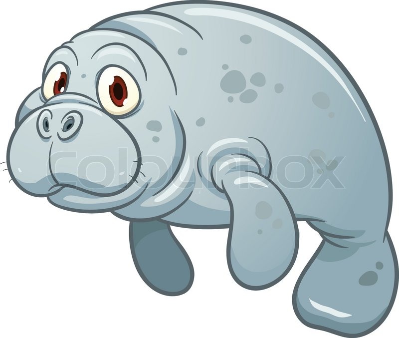 800x677 Cute Cartoon Manatee. Vector Illustration With Simple Gradients