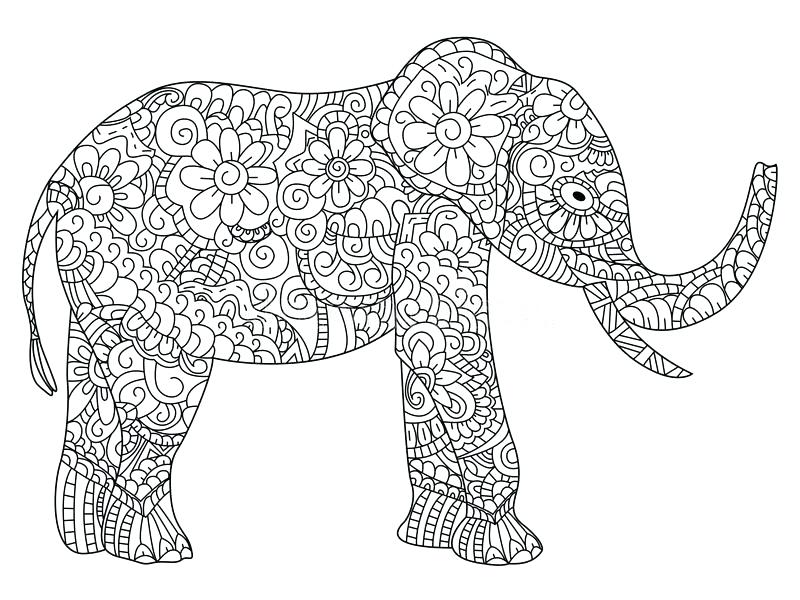 Mandala Elephant Vector at GetDrawings | Free download