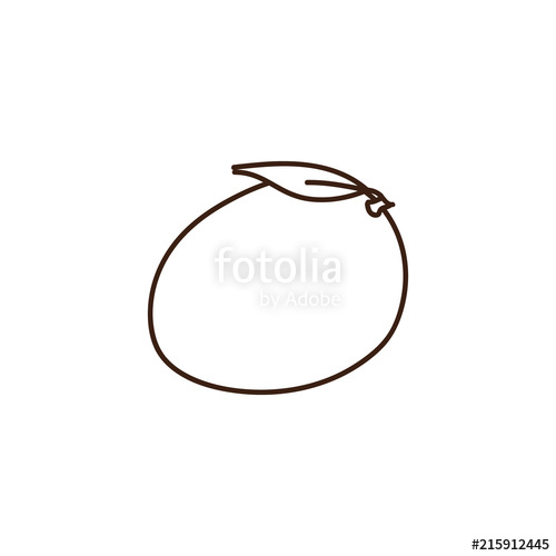 500x500 Mango Outline Illustration. Vector Doodle Sketch Hand Drawn Fruit