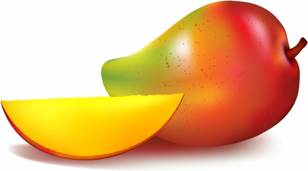 600x333 Mango Free Vector In Adobe Illustrator Ai ( .ai ), Encapsulated