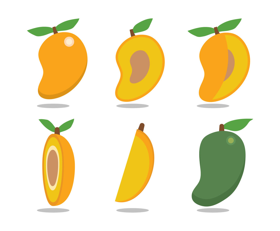 1136x936 Mango Vector Vector Art Amp Graphics
