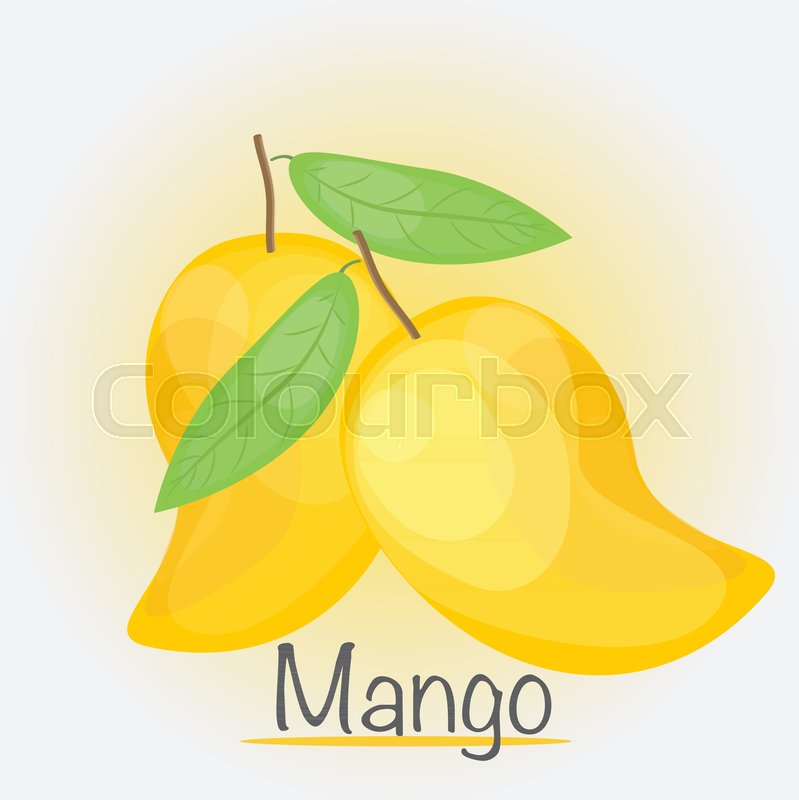 799x800 Yellow Mango, Vector Illustration. (Eps.10) Stock Vector Colourbox
